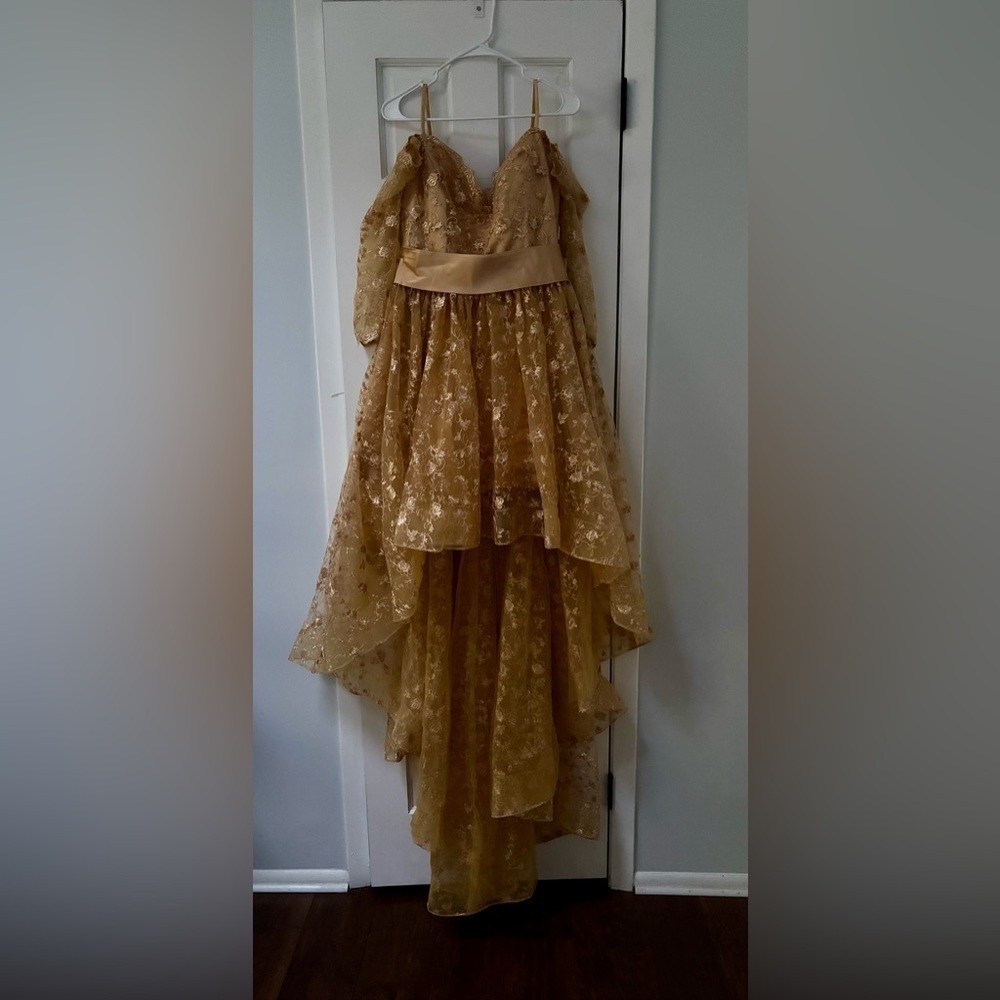 Elegant Lace Evening Dress